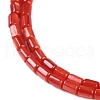 Natural Freshwater Shell Beads Strands BSHE-H109-17D-4