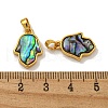 Rack Plating Brass Pave Natural Paua Shell Pendants KK-U025-04G-02-3