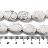 Natural Howlite Beads Strands G-P528-M12-01-5