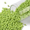 TOHO Round Seed Beads SEED-XTR11-0044F-1