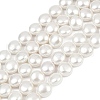 Electroplated Shell Pearl Beads Strands BSHE-G027-13B-2