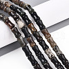 Natural Biotite Beads Strands G-T140-92-1