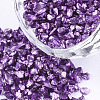 FGB Plated Glass Seed Beads X-SEED-S020-03E-14-1