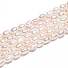 Natural Cultured Freshwater Pearl Beads Strands PEAR-N012-03Q-01-5