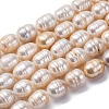 Natural Cultured Freshwater Pearl Beads Strands PEAR-XCP0001-07-2