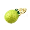 Brass with Enamel Charms KK-Q066-01K-G-2