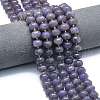 Natural Lepidolite/Purple Mica Stone Beads Strands G-P573-B05-01-1