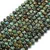 Natural African Turquoise(Jasper) Beads Strands G-P573-A29-01-2