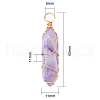 Natural Amethyst Pendants G-CJ0001-43-2