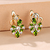Brass Micro Pave Cubic Zirconia Hoop Earrings WG0C687-03-1