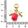 Brass Cerise Enamel Airplane Luggage Passport European Dangle Charms KK-K400-31G-3
