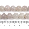 Natural Pink Rabbit Hair Rutilated Quartz Beads Strands G-H093-B05-12mm-5