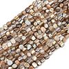 Natural Trochus Shell Beads Strands BSHE-Q050-01B-1