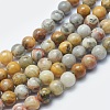 Natural Crazy Lace Agate Beads Strands G-K287-15-8mm-1