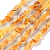 Natural Amber Beads Strands G-P497-01C-04-1