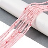 Natural Freshwater Shell Beads Strands BSHE-H109-14-2