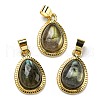 Natural Labradorite Pendants G-M405-05G-3