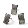 Adjustable Rectangle Natural Labradorite Brass Rings RJEW-N024-01A-1