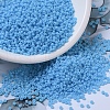 MIYUKI Round Rocailles Beads SEED-G007-RR0413-1