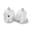 Opaque Resin Pendants RESI-G077-04C-2