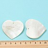 Natural Freshwater Shell Pendants SHEL-F008-01B-4