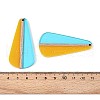 Transparent Resin & Wood Pendants RESI-T057-77-3