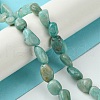 Natural Amazonite Beads Strands G-Z034-D06-01-2