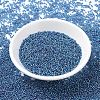 MIYUKI Round Rocailles Beads SEED-X0054-RR1025-1