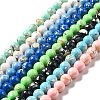 Synthetic Turquoise and Sea Shell Assembled Beads Strands G-D482-01E-1