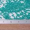 MIYUKI Delica Beads SEED-X0054-DB0729-4