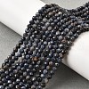 Natural Sapphire Beads Strands G-G259-D06-4mm-1