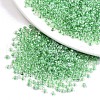 8/0 Glass Seed Beads SEED-A015-3mm-2207-1