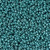 MIYUKI Round Rocailles Beads SEED-X0054-RR1075-3