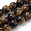 Natural Tiger Eye Beads Strands G-S259-21-12mm-1