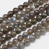 Natural Labradorite Round Bead Strands G-M262-8mm-09-1