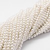 Shell Pearl Beads Strands X-BSHE-L025-01-6mm-1