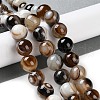 Natural Eye Agate Beads Strands G-NH0019-F02-01-2