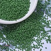 MIYUKI Round Rocailles Beads SEED-JP0008-RR0431-1