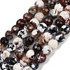 Natural Fire Crackle Agate Beads Strands G-C082-A01-28-2