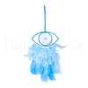 Handmade Eye Woven Net/Web with Feather Wall Hanging Decoration HJEW-K035-04A-1