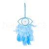 Handmade Eye Woven Net/Web with Feather Wall Hanging Decoration HJEW-K035-04A-1