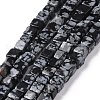 Natural Snowflake Obsidian Beads Strands G-F631-K16-1