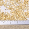 MIYUKI Delica Beads Small X-SEED-J020-DBS0100-4