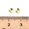 304 Stainless Steel Bead Caps STAS-L285-007G-3