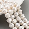 Natural Cultured Freshwater Pearl Beads Strands PEAR-C003-20A-1