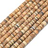 Natural Picture Jasper Beads Strands G-P575-B30-6x1mm-2