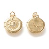Brass Micro Pave Clear Cubic Zirconia Pendants X-ZIRC-K086-19G-2