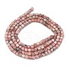 Natural Argentina Rhodonite Beads Strands G-Z057-A01-01-5