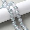 Natural Selenite Beads Strands G-C142-01C-13-2