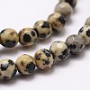 Natural Dalmatian Jasper Beads Strands X-G-D840-49-4mm-3